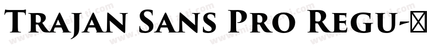 Trajan Sans Pro Regu字体转换